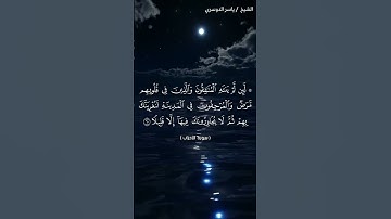 سورة الاحزاب من  آية 59 إلى آية 60 بصوت الشيخ ياسر الدوسري♥♥