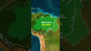 The Amazon Rainforest isn’t only in Brazil.