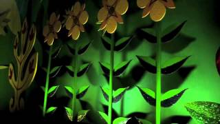 Taiber Family Vacation - Florida 2013