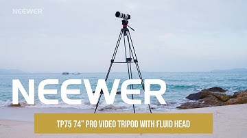 Introducing the Neewer TP75 74" Pro Video Tripod with Fluid Head