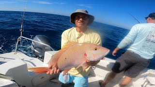 EPIC Mutton Snapper Bite Fishing out of Marco Island, Florida *Catch and Cook*