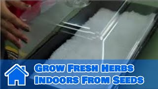 Growing Herbs : How to Grow Fresh Herbs Indoors From Seeds