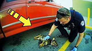 Приехав на вызов, полицейский нашел новорождённого щенка, которого выбросили!