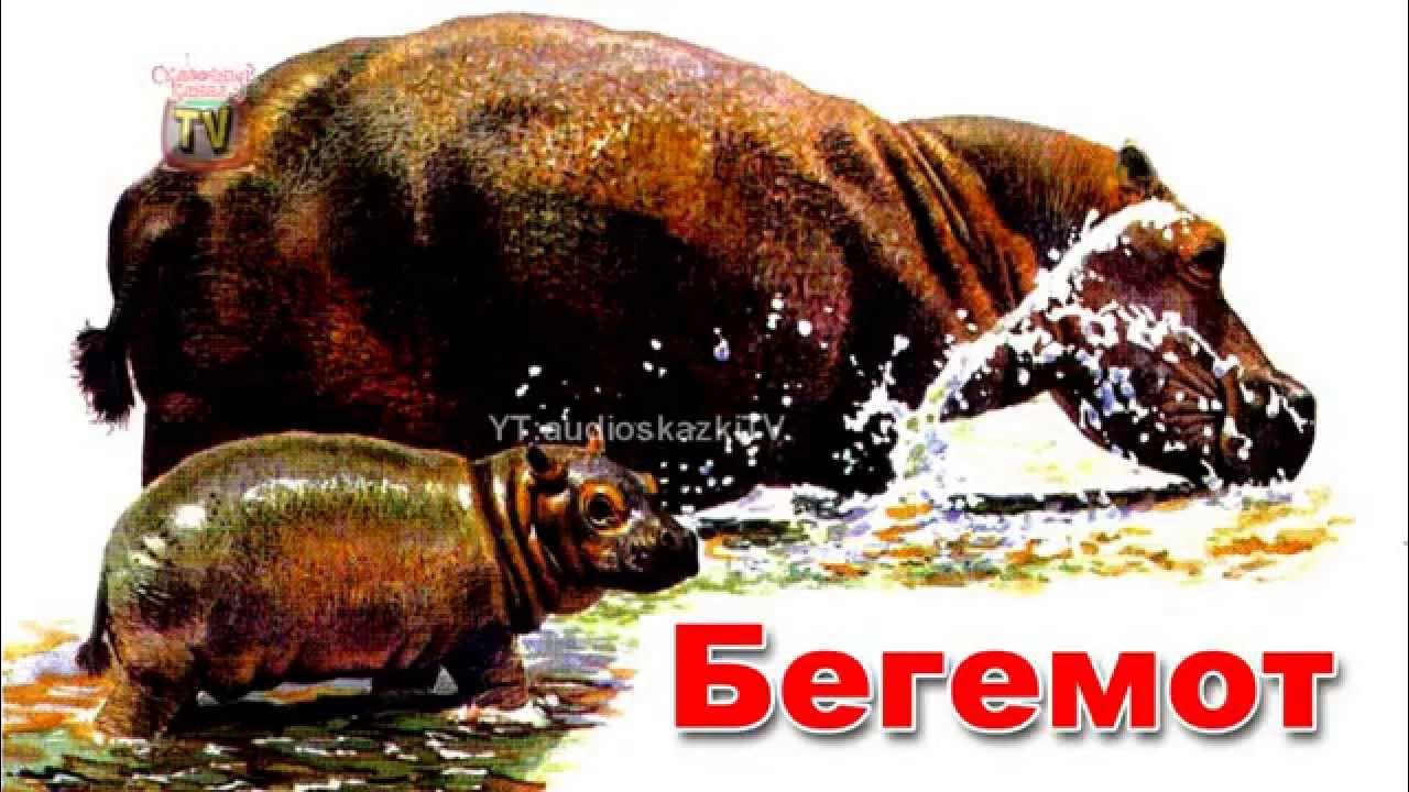 Энциклопедия для детей. Буква Б. Бегемот. Encyclopedia for Children ...