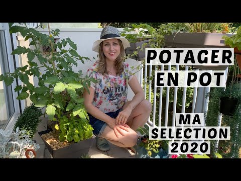 Vidéo: Jardin potager en conteneur - Concevoir votre potager en conteneur