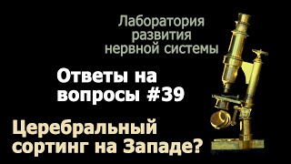 Церебральный сортинг на Западе?