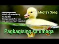 Pagkagising sa umaga hesus ikaw ang nasa isip  lyrics  medley song pagkagisingsaumaga