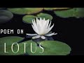 Poem on Lotus