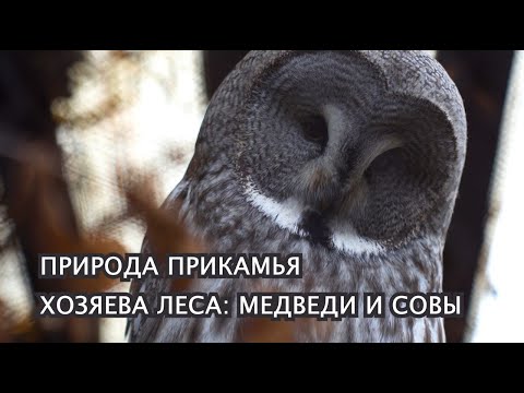 Природа Прикамья -
