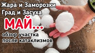 СЕЗОН ОТКРЫТ - РАБОТА КИПИТ! А тут ещё сюрпризы от погоды...