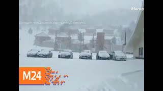 "Климат-контроль": какая погода ждет москвичей в праздник - Москва 24 "Климат-контроль": какая погода ждет москвичей в праздник - Москва 24