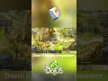 COMMENT obtenir du Lailait sur Dofus? #kamas #astuce #dofus