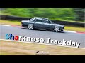 Classic BMW Sharknoses Stretch Their Legs On track!