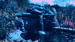 Jamrug - That Dream