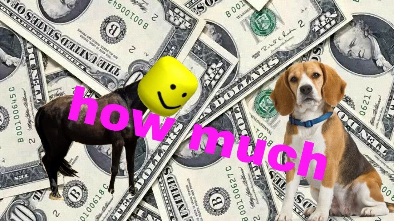 How much money does pet simulation gives you? YouTube