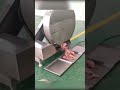 Frozen Meat Slicer | Meat Shredder Machine | Meat Flaker