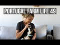 Portugal Farm Life 49 - Installing new windows, doors and something fluffy too!