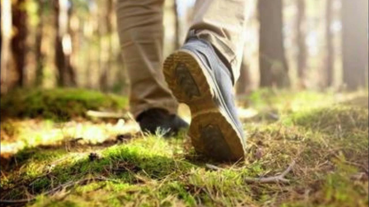 Footsteps in Forest Sound Effect YouTube