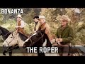 Bonanza - The Roper | Episode 161 | Free Western Series | Cowboys | Full Length | English
