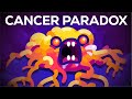 Cancer Biology and Tumor Dynamics