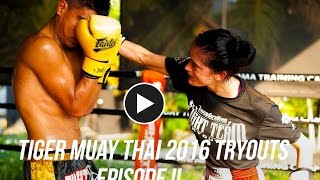 2016 Tiger Muay Thai Team Tryout Documentary: Episode II