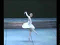 svetlana zakharova raymonda variation