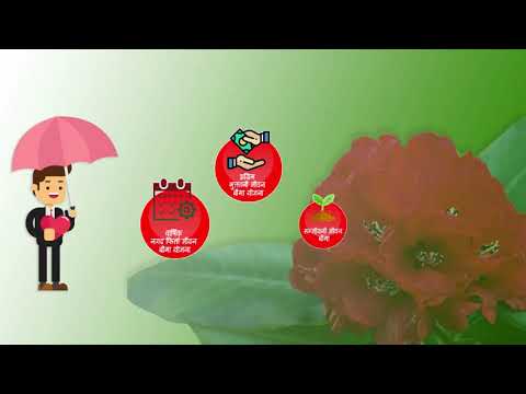 Gurans Life Insurance Co  Ltd added a cover video