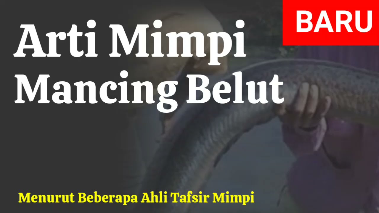 Ternyata Ini Arti Mimpi Mancing Belut Menurut Ahli Tafsir Mimpi