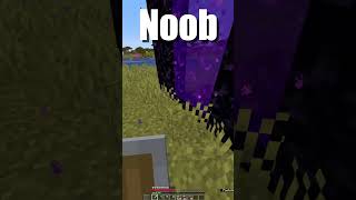 Noob Vs Pro Minecraft Traps