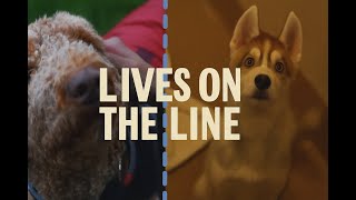 Lives on the Line