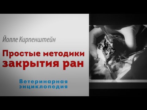 Видео: Косметическая хирургия для собак: медицинская необходимость или гордыня?