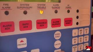 Simplex 4006 Test 4