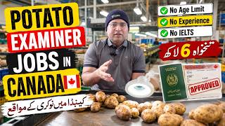 Canada Potato Inspector Jobs 2026 | Easy Hiring Process, Salary & Foreign Worker Guide