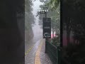 Snowfall in LBSNNA ❣️ MASOORIE ☘️☘️⛰️⛰️💭💭