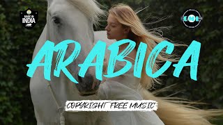 🎨 arabica | Copyright Free Music | Greatest Music Library | Soft House screenshot 1