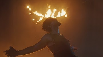 Aries - IN THE FLESH