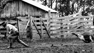 Video thumbnail of "EL DíA DE YERRA - GUTO GONZALEZ"