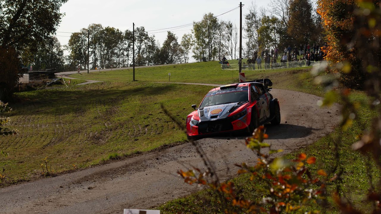 Central European Rally 2024 - Highlights, Drifts, Crashes, Sound | 4K