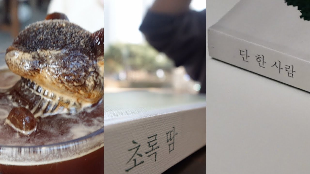 한로로님 책을 읽다 | 배신하지 않는 최진영 작가의 단 한 사람 | 초록 땀을 흘리는 사람이 있다? 초록 땀 소설 읽기