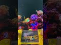 Lamborghini Water Gamebot #gaming #squidgame #satisfyingvideo #satisfying #toys