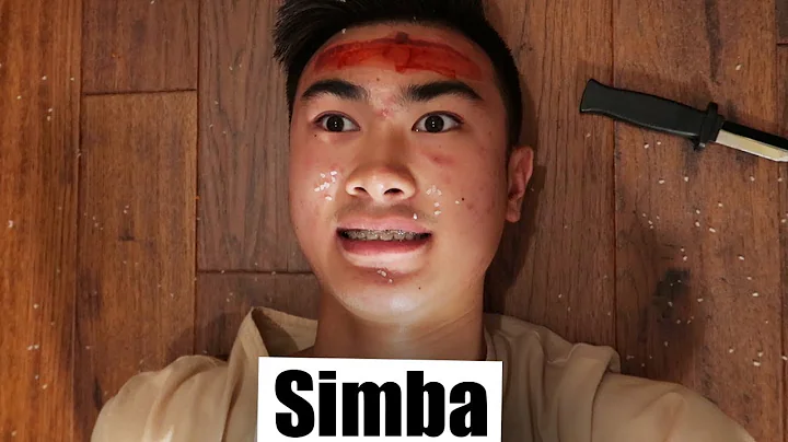 Lion King but its filmed like a vine compilation