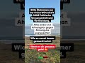Bitte Ökonomen aus der freien Wirtschaft – ohne politische Verflechtung! #afd #deutschland #geld