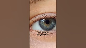 Blockchain Technology in Agriculture #shorts #agriculture