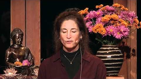 Tara Talks: Our Ideas are not Truth - Tara Brach