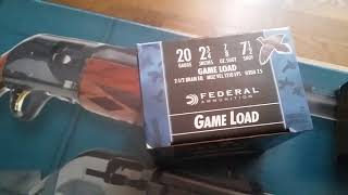 Hatsan escort ps 20 gauge
