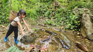 Full Video: Days of earning a living, Picking fruit, Catching fish with my dog