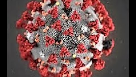 How To Make Covid Prevention App Using MIT APP INVENTOR || #Ek_Prayaas #App_Making