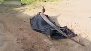 TERRORISMO CABO DELGADO: TERRORISTAS MATAM 2 CIVIS NAS PROXIMIDADES DA SEDE DO DISTRITO DE NANGADE