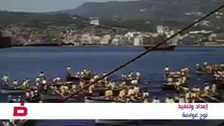 اسماء مناطق الضاحية