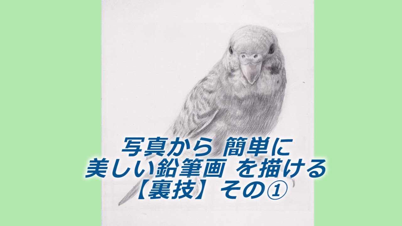 入門】写真から簡単に美しい鉛筆画を描ける【裏技】その①【おうち時間 